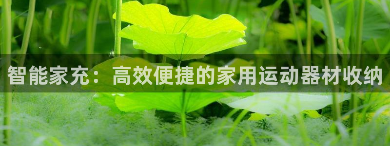 fb体育招商电话号码:智能家充:高效便捷的家用运动器材收纳