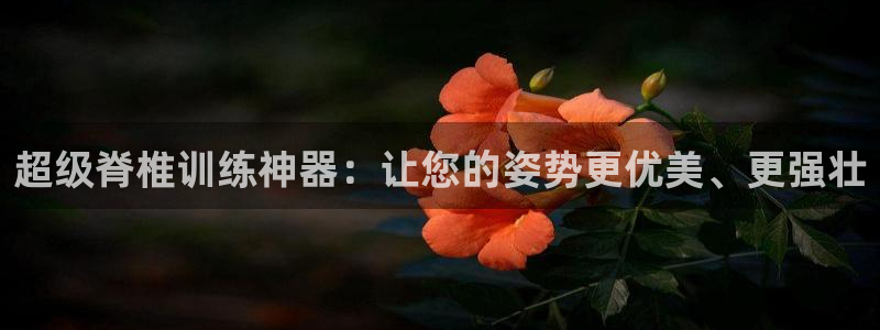 fb体育平台注册要钱吗安全吗:超级脊椎训练神器:让您的姿势更